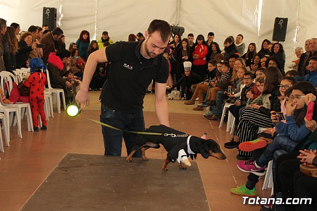 II Concurso de Disfraces para Mascotas - Carnaval 2018 - 55