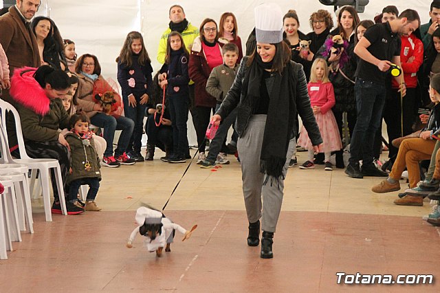 II Concurso de Disfraces para Mascotas - Carnaval 2018 - 57