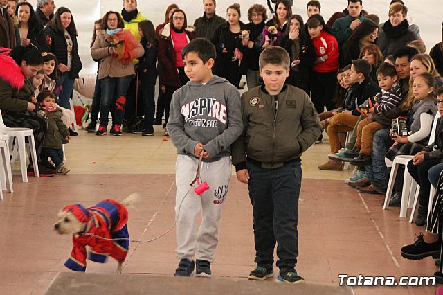 II Concurso de Disfraces para Mascotas - Carnaval 2018 - 60