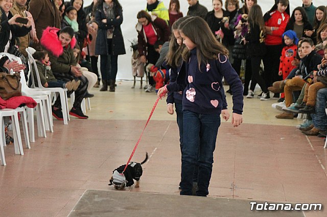 II Concurso de Disfraces para Mascotas - Carnaval 2018 - 64