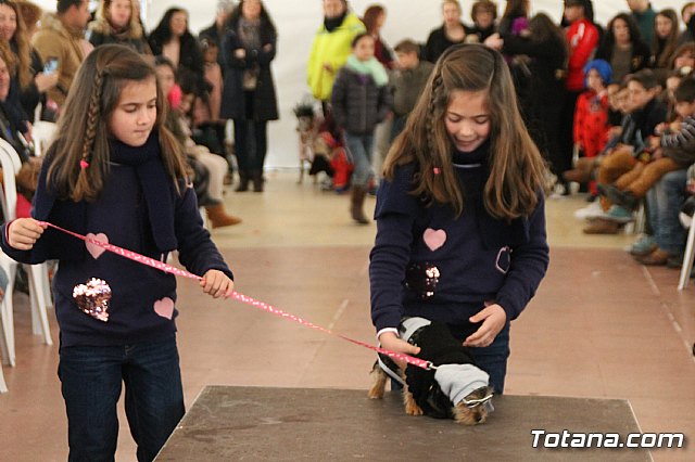 II Concurso de Disfraces para Mascotas - Carnaval 2018 - 65
