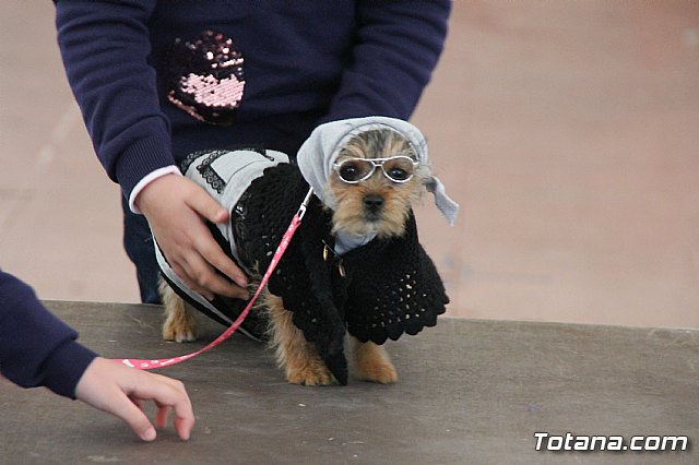 II Concurso de Disfraces para Mascotas - Carnaval 2018 - 67
