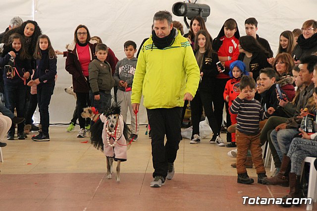 II Concurso de Disfraces para Mascotas - Carnaval 2018 - 68