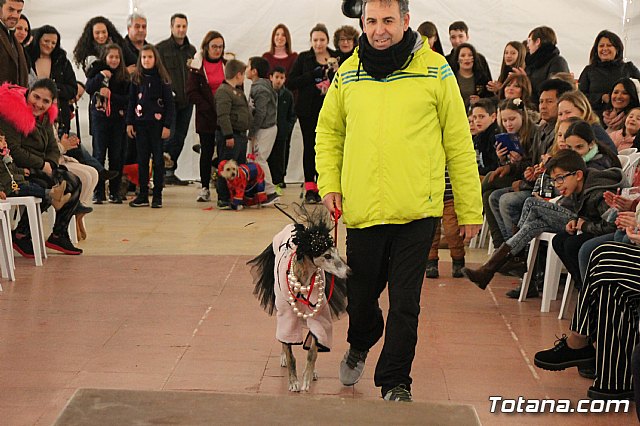 II Concurso de Disfraces para Mascotas - Carnaval 2018 - 69