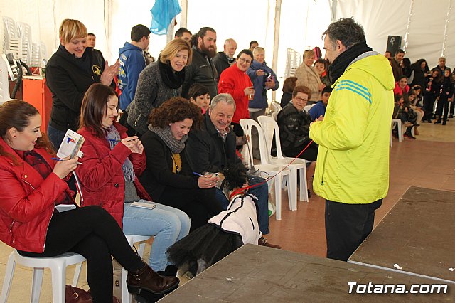 II Concurso de Disfraces para Mascotas - Carnaval 2018 - 70