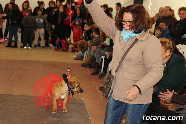 II Concurso de Disfraces para Mascotas - Carnaval 2018 - 73