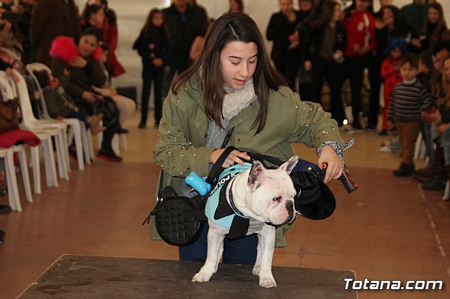 II Concurso de Disfraces para Mascotas - Carnaval 2018 - 80