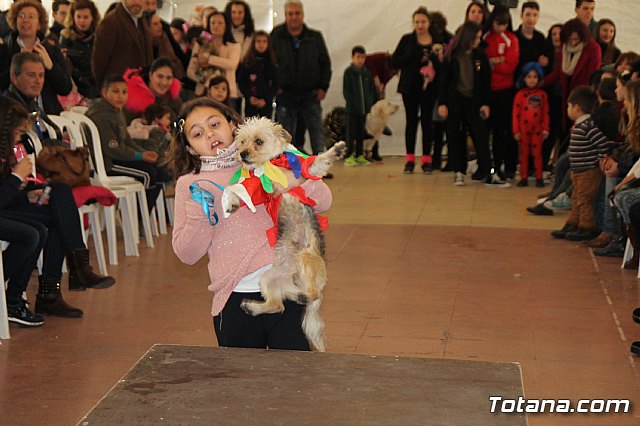 II Concurso de Disfraces para Mascotas - Carnaval 2018 - 84