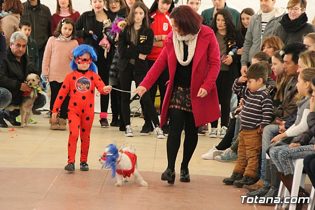 II Concurso de Disfraces para Mascotas - Carnaval 2018 - 91