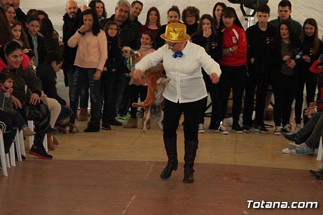 II Concurso de Disfraces para Mascotas - Carnaval 2018 - 94