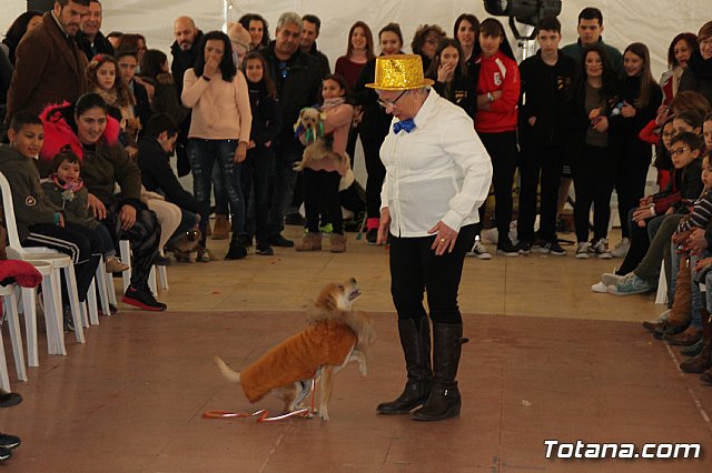 II Concurso de Disfraces para Mascotas - Carnaval 2018 - 95