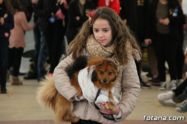 II Concurso de Disfraces para Mascotas - Carnaval 2018 - 100