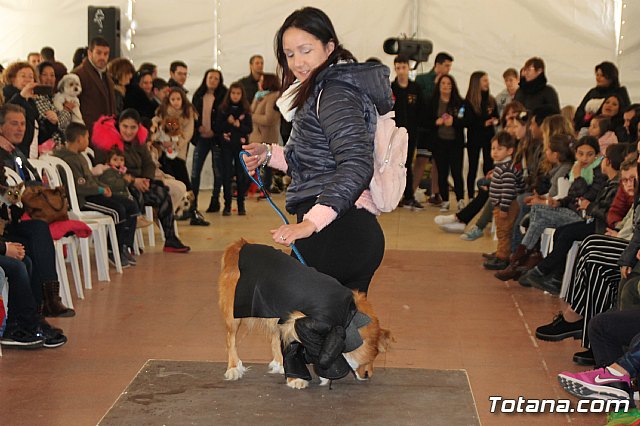 II Concurso de Disfraces para Mascotas - Carnaval 2018 - 105