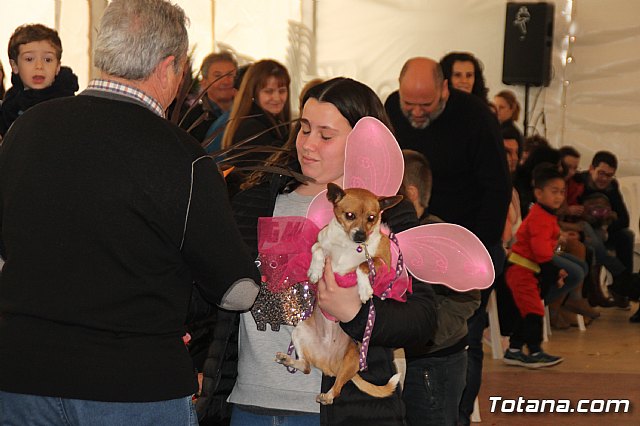 II Concurso de Disfraces para Mascotas - Carnaval 2018 - 121