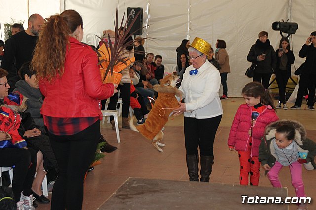 II Concurso de Disfraces para Mascotas - Carnaval 2018 - 124