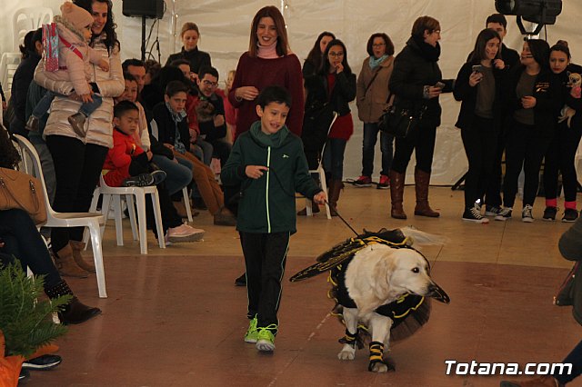 II Concurso de Disfraces para Mascotas - Carnaval 2018 - 129