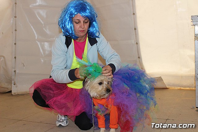 Concurso de disfraces de mascotas - Carnaval de Totana 2017 - 2