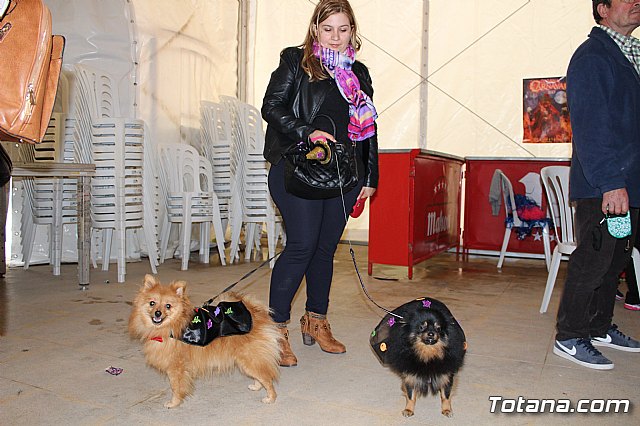 Concurso de disfraces de mascotas - Carnaval de Totana 2017 - 3