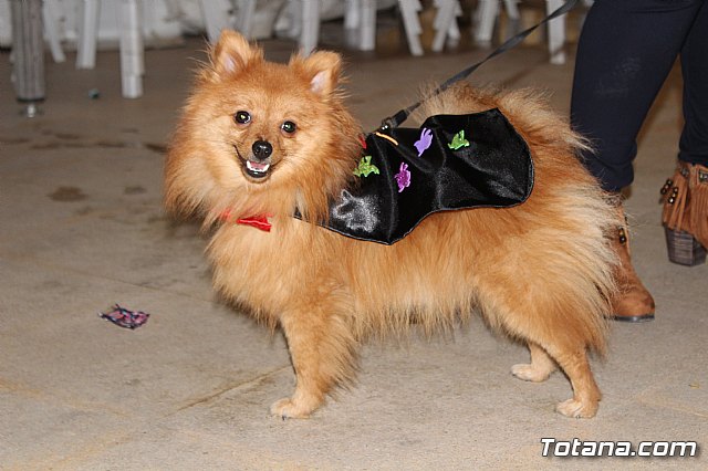 Concurso de disfraces de mascotas - Carnaval de Totana 2017 - 4