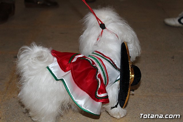 Concurso de disfraces de mascotas - Carnaval de Totana 2017 - 8