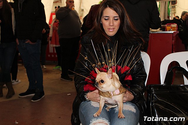 Concurso de disfraces de mascotas - Carnaval de Totana 2017 - 10