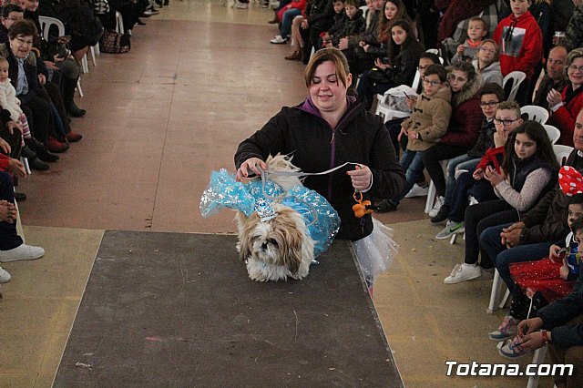 Concurso de disfraces de mascotas - Carnaval de Totana 2017 - 26