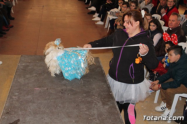 Concurso de disfraces de mascotas - Carnaval de Totana 2017 - 27