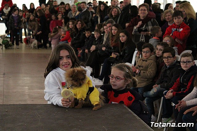 Concurso de disfraces de mascotas - Carnaval de Totana 2017 - 47