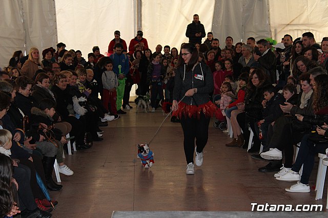 Concurso de disfraces de mascotas - Carnaval de Totana 2017 - 51