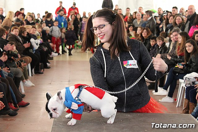 Concurso de disfraces de mascotas - Carnaval de Totana 2017 - 53