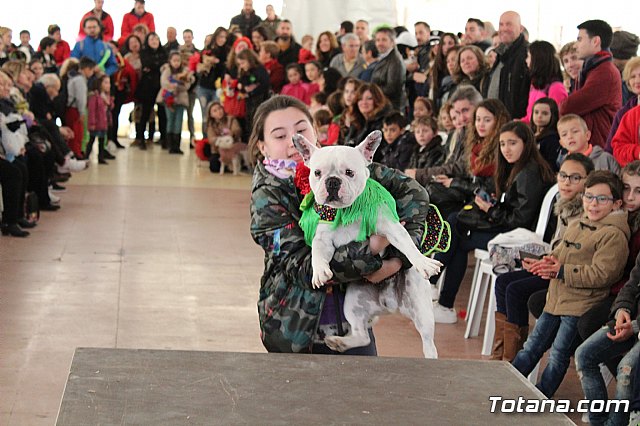 Concurso de disfraces de mascotas - Carnaval de Totana 2017 - 55