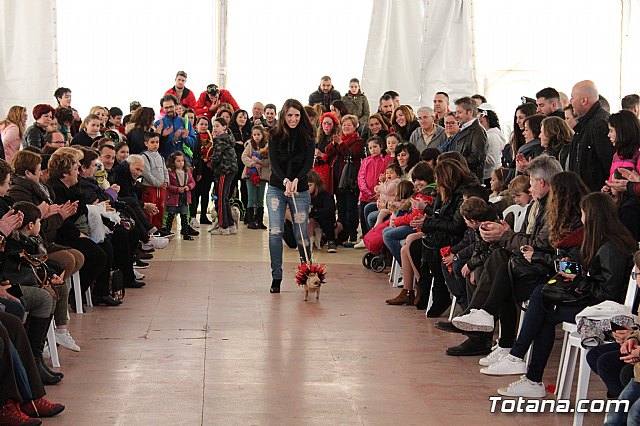 Concurso de disfraces de mascotas - Carnaval de Totana 2017 - 57