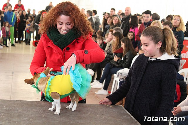 Concurso de disfraces de mascotas - Carnaval de Totana 2017 - 62