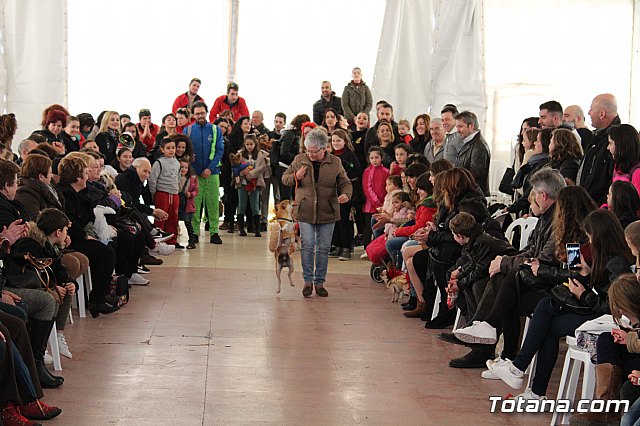 Concurso de disfraces de mascotas - Carnaval de Totana 2017 - 68
