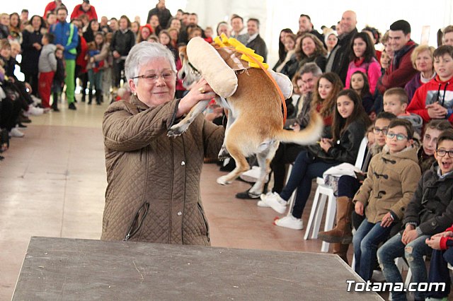 Concurso de disfraces de mascotas - Carnaval de Totana 2017 - 70