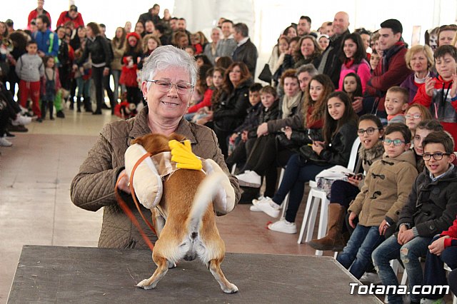 Concurso de disfraces de mascotas - Carnaval de Totana 2017 - 71