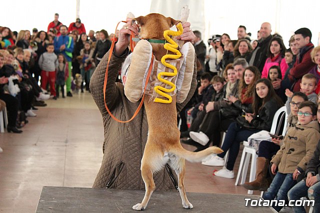 Concurso de disfraces de mascotas - Carnaval de Totana 2017 - 72