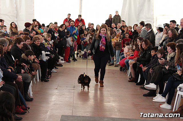Concurso de disfraces de mascotas - Carnaval de Totana 2017 - 73