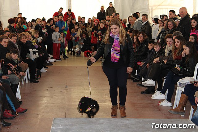 Concurso de disfraces de mascotas - Carnaval de Totana 2017 - 74