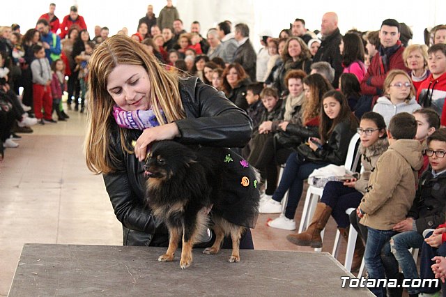 Concurso de disfraces de mascotas - Carnaval de Totana 2017 - 75