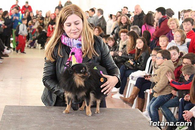 Concurso de disfraces de mascotas - Carnaval de Totana 2017 - 76