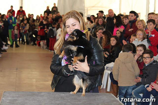 Concurso de disfraces de mascotas - Carnaval de Totana 2017 - 77