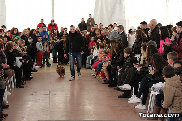 Concurso de disfraces de mascotas - Carnaval de Totana 2017 - 78