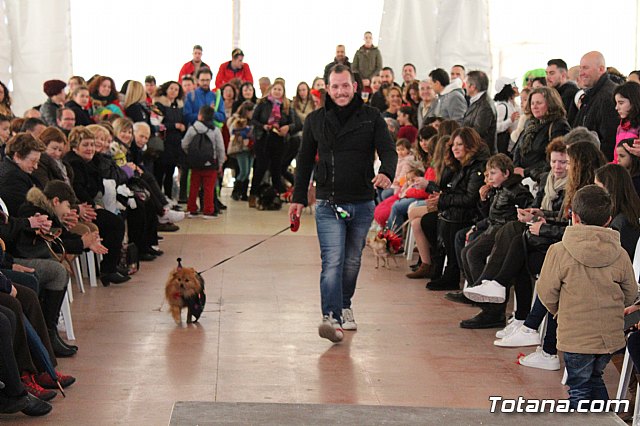 Concurso de disfraces de mascotas - Carnaval de Totana 2017 - 79