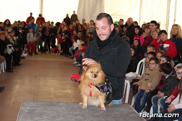 Concurso de disfraces de mascotas - Carnaval de Totana 2017 - 80