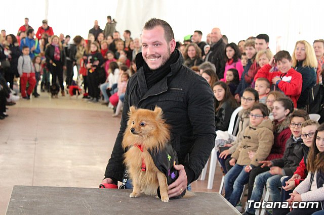 Concurso de disfraces de mascotas - Carnaval de Totana 2017 - 81