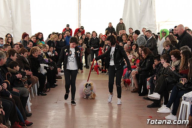 Concurso de disfraces de mascotas - Carnaval de Totana 2017 - 82