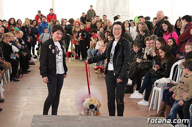 Concurso de disfraces de mascotas - Carnaval de Totana 2017 - 83
