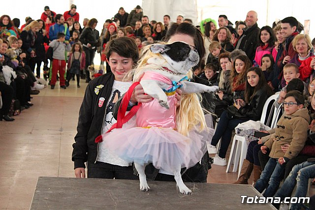 Concurso de disfraces de mascotas - Carnaval de Totana 2017 - 84