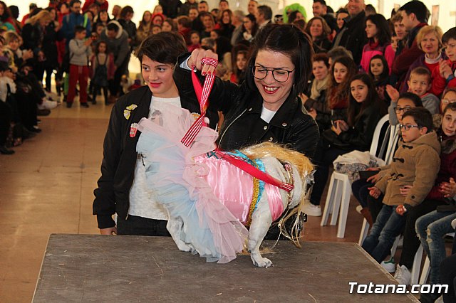 Concurso de disfraces de mascotas - Carnaval de Totana 2017 - 85
